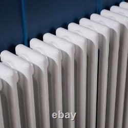 600 x 1010 mm White Traditional Colosseum Horizontal Double Bar Radiator