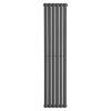 Anthracite Designer Radiator Flat Panel Oval Column Horizontal Vertical Rads