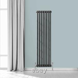 Anthracite Horizontal Vertical Traditional Column Radiator with Angled Valves