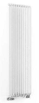 CLEARANCE PRICE Terma DELFIN, Matt White D Profile Column Radiator, 1800hx500w