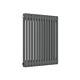 Horizontal Anthracite Column Radiator