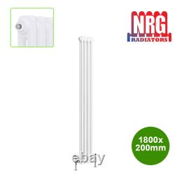 Horizontal Vertical Traditional Radiator 2 3 4 Column Rad Cast Iron Style White