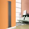 Modern Designer Radiator Oval Column Central Heating Rads with Free Valves