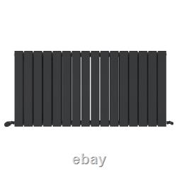 Radiator Horizontal Double Column Flat Panel Designer Anthracite 600x1216mm