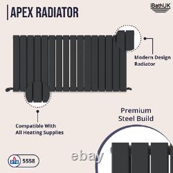 Radiator Horizontal Double Column Flat Panel Designer Anthracite 600x1216mm