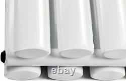 Radiator Vertical Double Panel Oval Columns Designer White Anthracite Rads