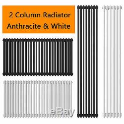 Traditional 2 Column Radiator Horizontal Vertical Central Heating Cast Iron Rads