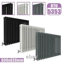 Traditional Cast Iron Style 2 3 Column Horizontal Vertical Radiator With Valves