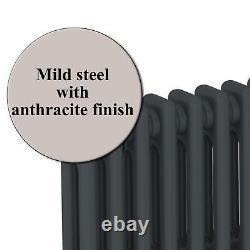 Traditional Colosseum Horizontal Double Bar Column Radiator 300x830 Anthracite