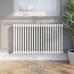 Traditional Colosseum Horizontal Double Bar Column Radiator 600x1010mm White