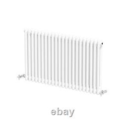 Traditional Colosseum Horizontal Double Bar Column Radiator 600x1010mm White