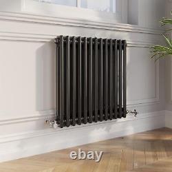 Traditional Colosseum Horizontal Double Bar Column Radiator 600x605mm Black