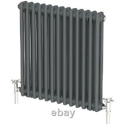 Traditional Colosseum Horizontal Double Bar Radiator 600 x 600mm Anthracite