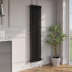 Traditional Colosseum Vertical Double Bar Column Radiator 1600x380mm Black Steel